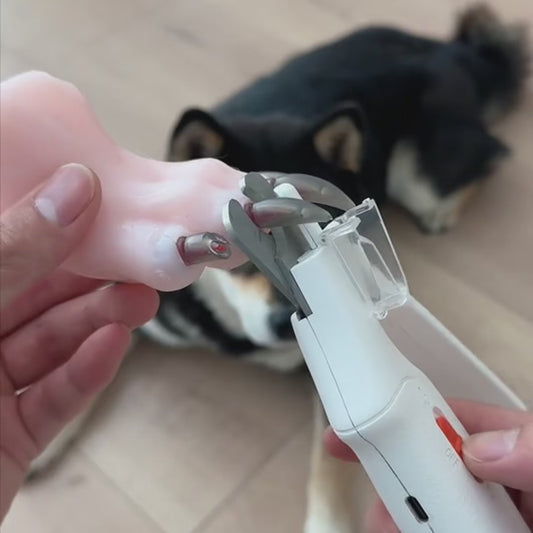 PawFect 2in1 Groomer™