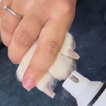 PawFect Nail Grinder™