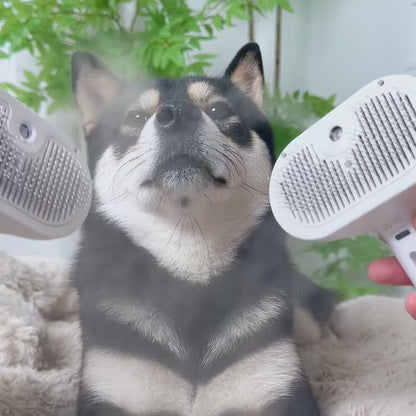 Water-Free Grooming Kit™