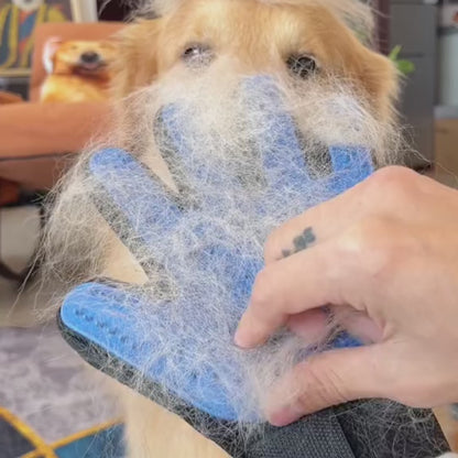 PawFect 2in1 Groomer™